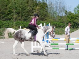 IMG_0511_web
